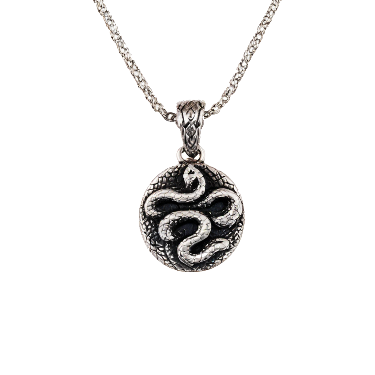 Coiled Snake Necklace